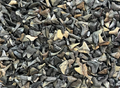 Shark Tooth Trinket Lot of 100 Partial Teeth Bull, Hammerhead, Sand, Mako